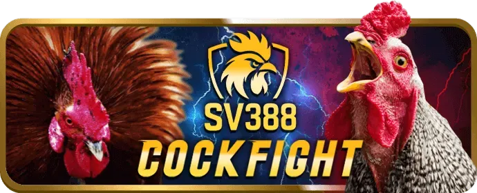 Hỗ trợ email S666