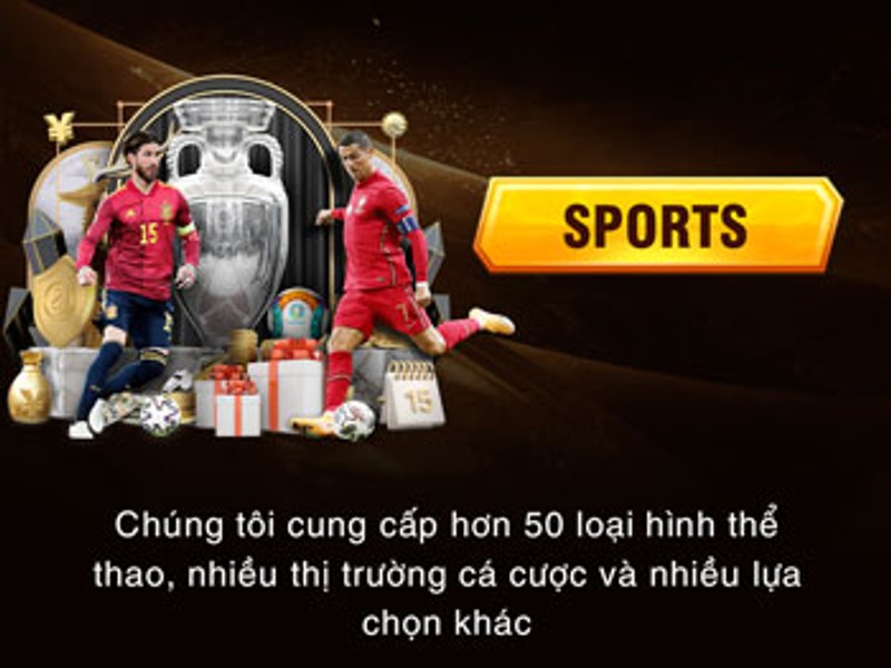 Cá Cược Thể Thao S666