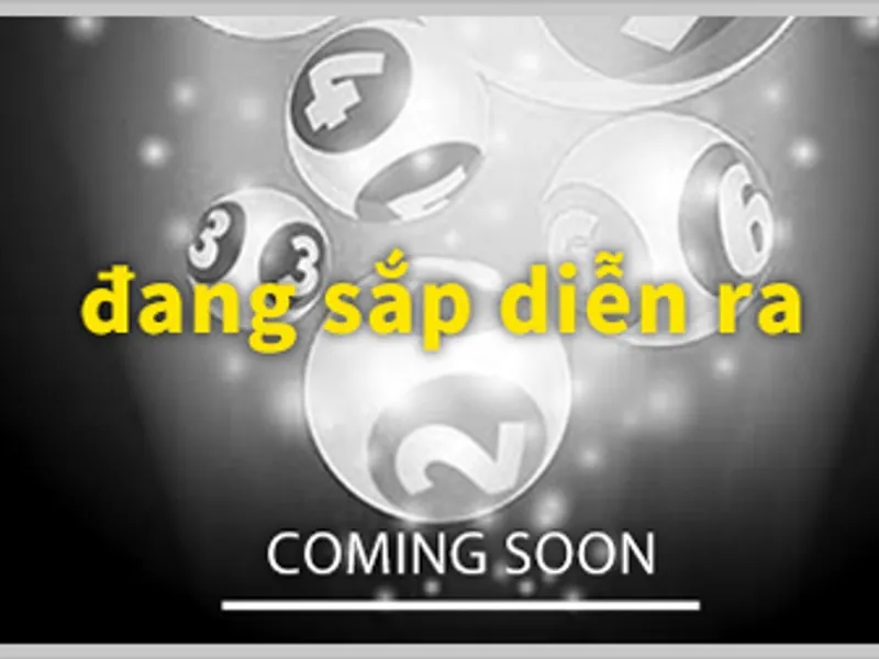 Người chơi đang phân tích số liệu để đặt cược xổ số tại S666